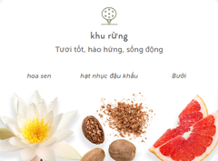 Sữa Tắm Harry's Grove Body wash