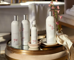 [Mới] Xịt thơm làm mới quần áo Rituals of Sakura laundry Refreshing spray 250ml