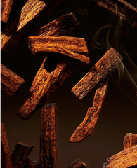 Refill Tinh dầu tán hương Black Oudh The Ritual Private Collection Fragrance Sticks 900ml