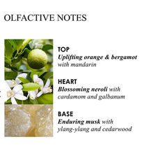 Molton Brown ORANGE & BERGAMOT -Tinh dầu tán hương thơm phòng hương cam và Bergamot cổ điển 150ml