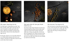 Dầu dưỡng tóc phục hồi Revlon Orofluido Elixir