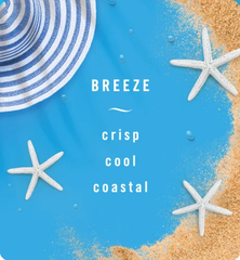 Tinh dầu Thơm xe Febreze Car Breeze 2x2ml