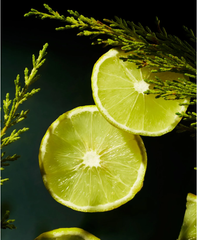 Dầu gội nam Homme Strenghening Caffeine Shampoo - Woody 250ml