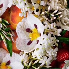 Sữa tắm tạo bọt the Molton Brown Jasmine Sun Rose Bath & Shower gel 300ml