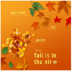 Tinh dầu khử mùi Toilet Febreze Crisp fall Breeze 7.5ml - Limited Edition