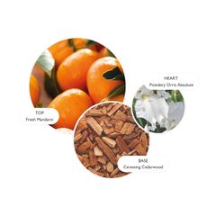 Sữa tắm tạo bọt Molton Brown Suede Orris Bath & Shower Gel 300ml