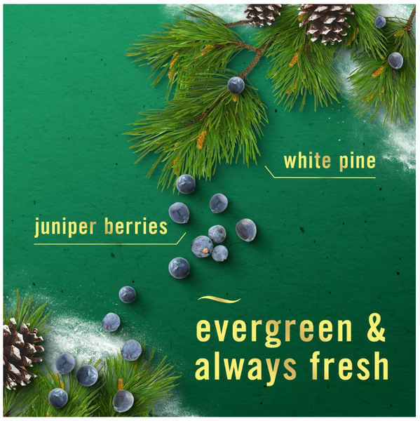 Tinh dầu khử mùi Toilet Febreze White pine Juniper Berry 7.5ml