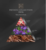 Xịt phòng Rituals Wild Fig Home Perfume  Room Spray 500ml - Private Collection