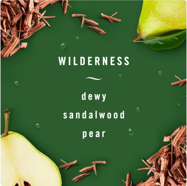 Tinh dầu Thơm xe Febreze Car Wilderness 2x2ml