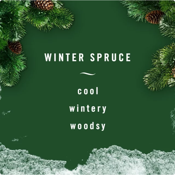 Tinh dầu Thơm xe Febreze Car Winter Spruce 2x2ml