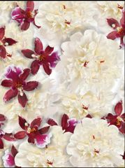 Rituals - Nước hoa nữ Rituals Fleurs de Himalaya 60ml