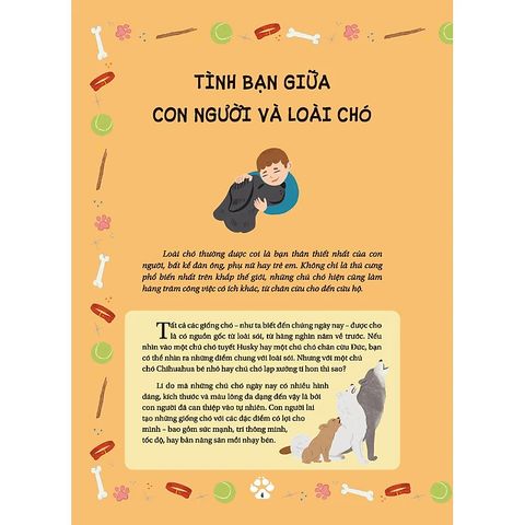 Những Câu Chuyện Về Loài Chó - Những Câu Chuyện Có Thật Về Các Chú Chó Anh Hùng