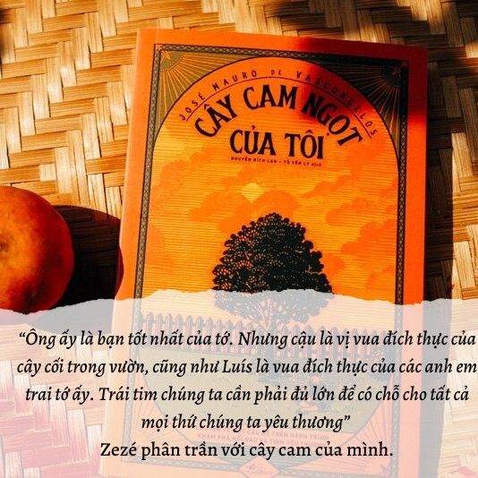 Cây Cam Ngọt Của Tôi