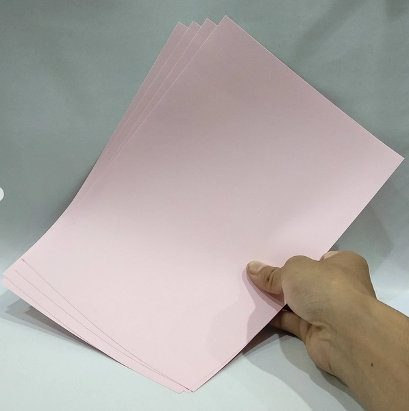 Bìa Màu A4 10 Tờ CAMPAP CR36555 DL180 gsm - Màu Hồng Nhạt
