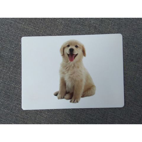 Flashcard Dạy Trẻ Theo Phương Pháp Glenn Doman - Động Vật Nuôi
