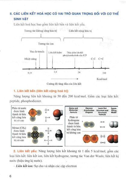 Bồi Dưỡng Học Sinh Giỏi Sinh Học 12 (Dùng Chung Cho Các Bộ SGK Hiện Hành)