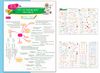Bộ 3 Tờ Tổng Hợp Kiến Thức - Tất Cả Trong Một - Hóa Học 10 + Hóa Học 11 + Hóa Học 12 (Bộ 3 Tờ)
