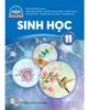 Sinh Học 11 (Chân Trời Sáng Tạo) (Chuẩn)
