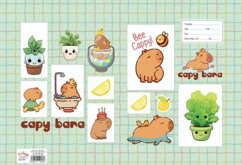 GIẤY BAO TẬP TRƠN