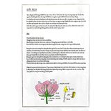 Bách Khoa Thư Cho Cả Nhà - Thế Giới Các Loài Hoa Bằng Tranh