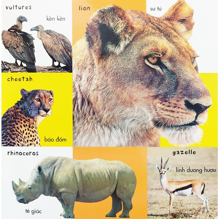 100 LOÀI ĐỘNG VẬT ĐẦU TIÊN CỦA BÉ - SÁCH DÁN HÌNH THÔNG MINH HỌC TIẾNG ANH