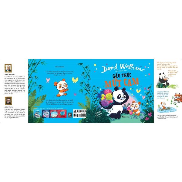 Gấu Trúc Mứt Cam