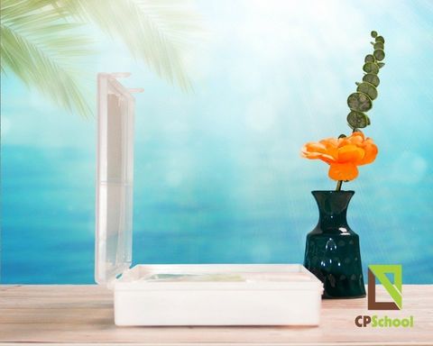 Bộ Thực Hành Toán lớp 2,3 (học sinh)