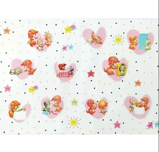 Bìa nilon bao sách