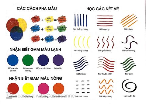 Bạn Nhỏ Ơi, Tô Màu Thật Là Dễ - Tập 8