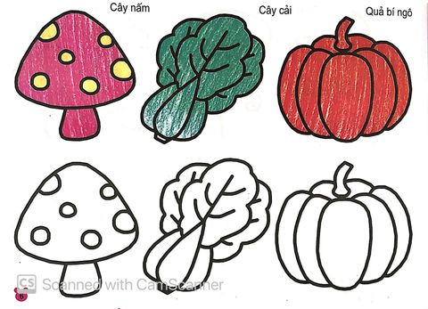 Bạn Nhỏ Ơi, Tô Màu Thật Là Dễ - Tập 4