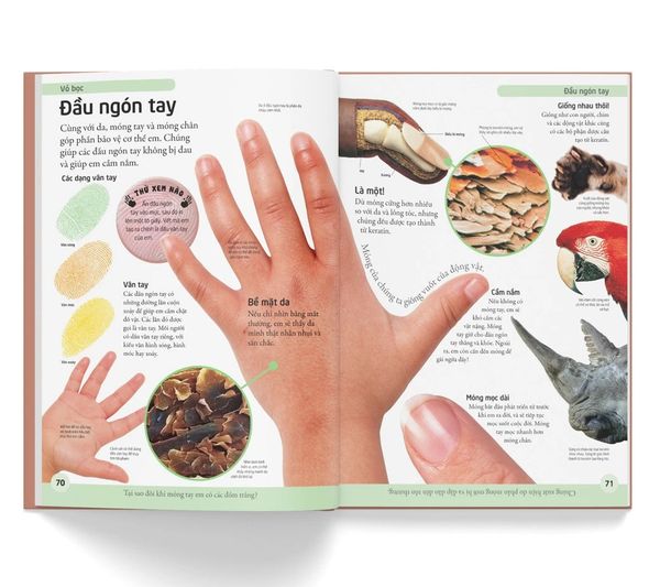 Bách Khoa Cho Trẻ Em - Bách Khoa Cơ Thể Người