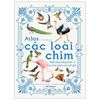 Atlas Các Loài Chim