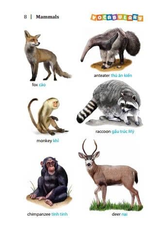 5500 Từ Vựng Tiếng Anh Thông Dụng Nhất (Bản Màu) - Tái Bản