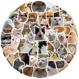 Sticker đa năng mèo vô tri dễ thương