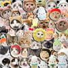 Sticker đa năng mèo vô tri dễ thương