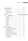 Việt Nam Sử Lược (Tái Bản)