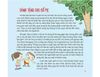 Cùng Con Trưởng Thành - Dạy Trẻ Hành Vi Tốt - Con Là Em Bé Ngoan