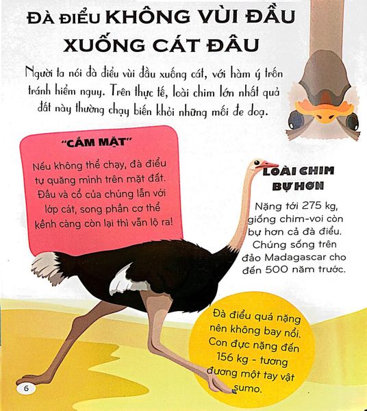 Micro Facts! 500 Fantastic Facts About Animals - Cùng Bé Khám Phá 500 Điều Thú Vị Về Động Vật