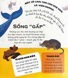 Micro Facts! 500 Fantastic Facts About Animals - Cùng Bé Khám Phá 500 Điều Thú Vị Về Động Vật