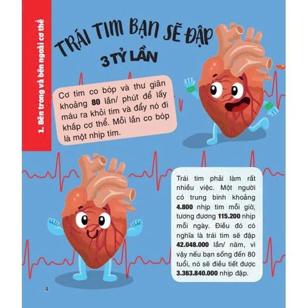 Micro Facts! 500 Fantastic Facts About Your Body - Cùng Bé Khám Phá 500 Điều Thú Vị Về Cơ Thể Người