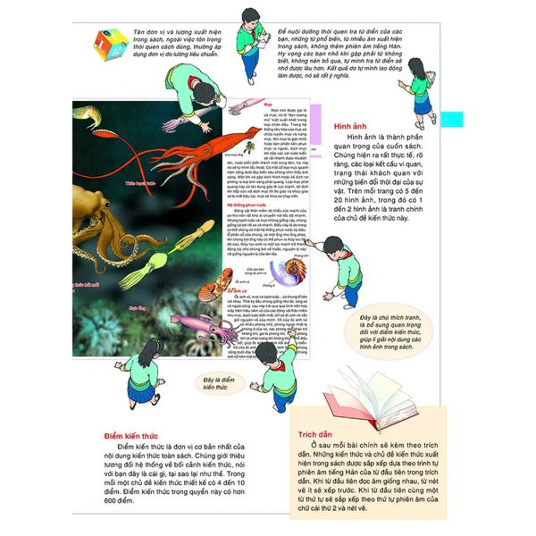 Bách Khoa Tri Thức Bằng Hình Cho Trẻ Em (Bìa Cứng)