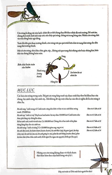 Bách Khoa Thư Cho Cả Nhà - Thế Giới Côn Trùng Bằng Tranh