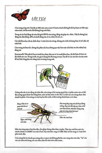 Bách Khoa Thư Cho Cả Nhà - Thế Giới Côn Trùng Bằng Tranh