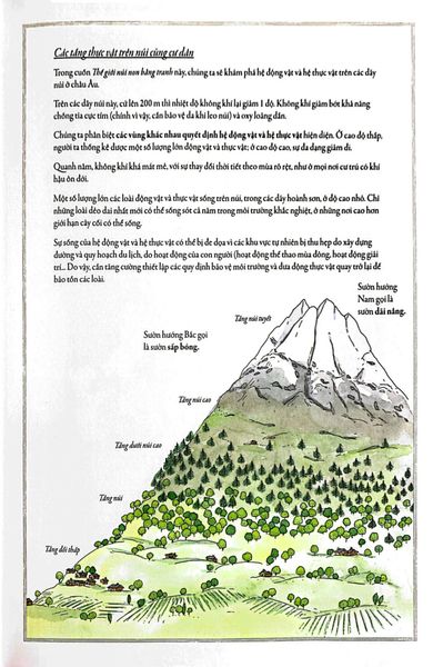 Bách Khoa Thư Cho Cả Nhà - Thế Giới Núi Non Bằng Tranh