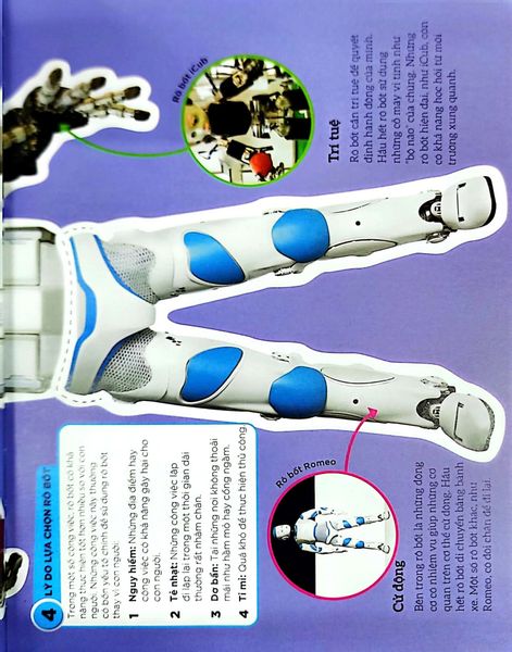 Dkfindout - Những Điều Sách Giáo Khoa Không Dạy Bạn - Rô Bốt