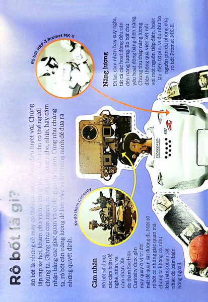Dkfindout - Những Điều Sách Giáo Khoa Không Dạy Bạn - Rô Bốt