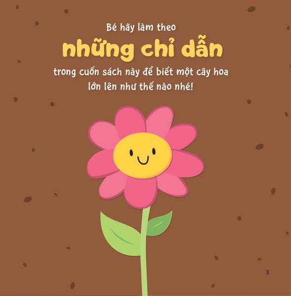 Sự Sinh Trưởng Kỳ Diệu Của Vạn Vật - Vòng Đời Của Cây