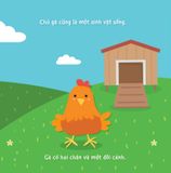 Sự Sinh Trưởng Kỳ Diệu Của Vạn Vật - Vòng Đời Của Gà