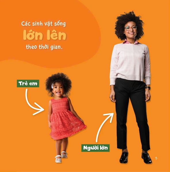 Sự Sinh Trưởng Kỳ Diệu Của Vạn Vật - Vòng Đời Của Gà