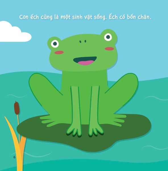 Sự Sinh Trưởng Kỳ Diệu Của Vạn Vật - Vòng Đời Của Ếch